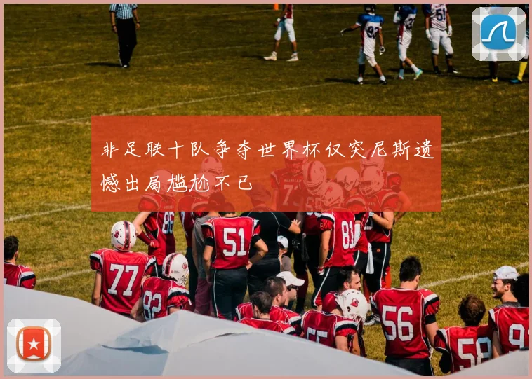 非足联十队争夺世界杯仅突尼斯遗憾出局尴尬不已